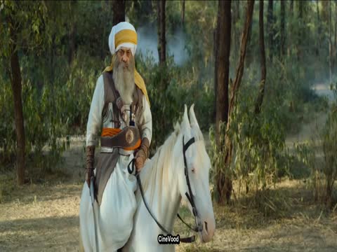 Akaal The Unconquered 2025 Punjabi thumb