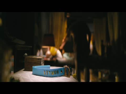 Dil Dosti Aur Dogs 2025 in Hindi thumb