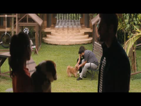 Dil Dosti Aur Dogs 2025 in Hindi thumb
