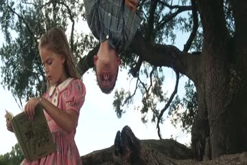 Forrest Gump 1994 Dubbed in Hindi thumb