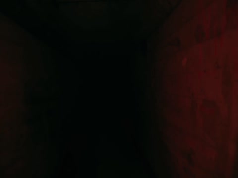Shadow Master 2022 Hindi Dubb thumb