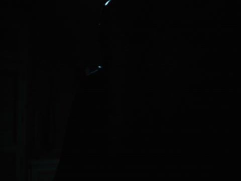 Until Dawn 2025 Hindi Dubb thumb